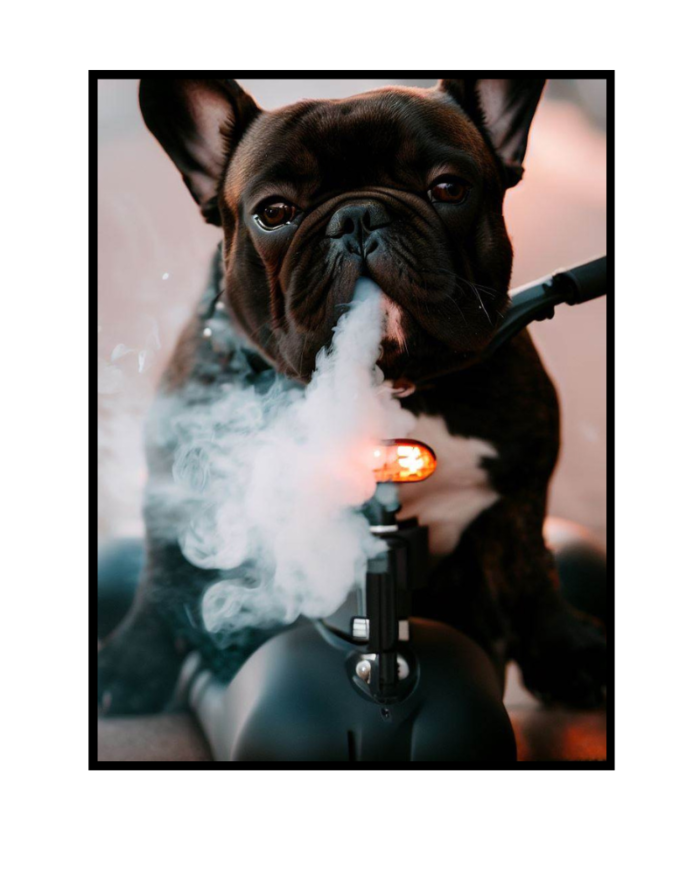 Tableau chien qui fume